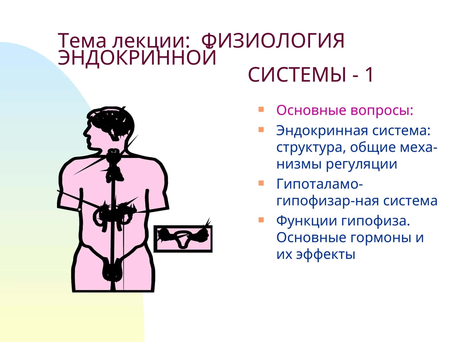 ФИЗИОЛОГИЯ ЭНДОКРИННОЙ СИСТЕМЫ - 1