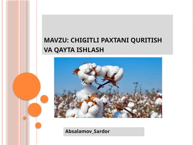 Chigitli paxtani quritish va qayta ishlash