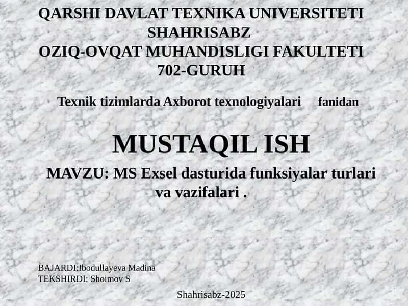 MS Excel dasturi