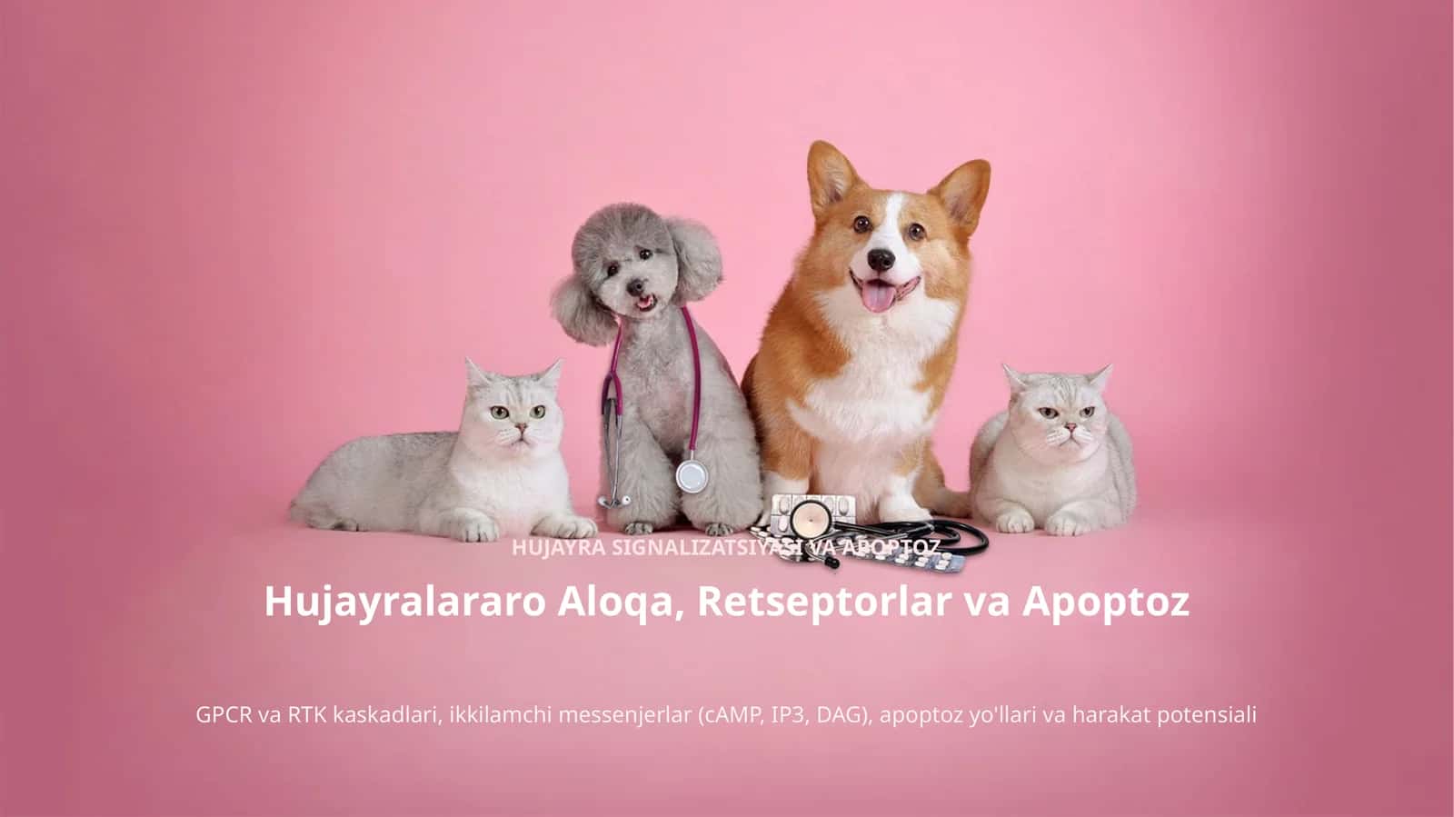 Hujayra Signalizatsiyasi va Apoptoz Mexanizmlari