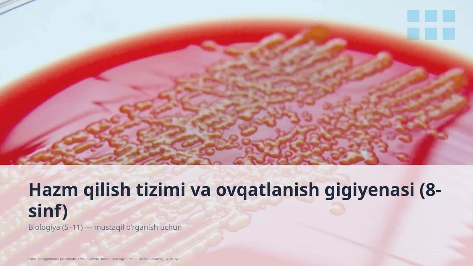 Hazm qilish tizimi va ovqatlanish gigiyenasi (8-sinf)
