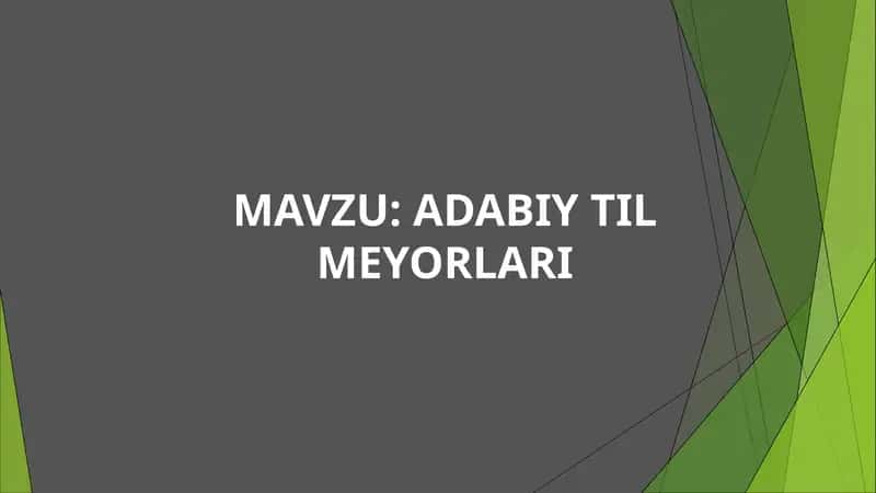ADABIY TIL MEYORLARI