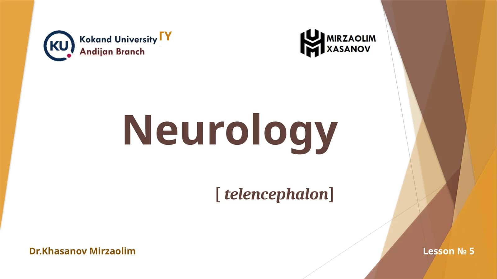 TELENCEPHALON[ BOSH MIYA KATTA YARIMSHARLARI ]