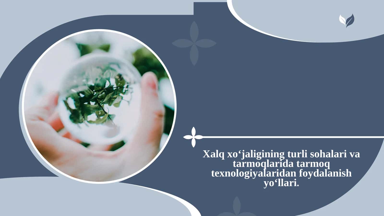 Xalq xo‘jaligining turli sohalari va tarmoqlarida tarmoq texnologiyalaridan foydalanish