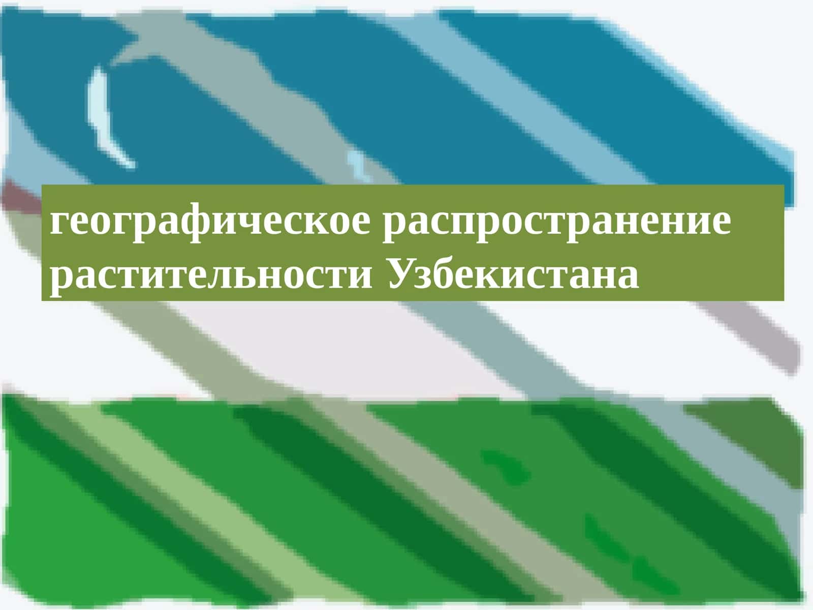 географическое распространение растительности Узбекистана