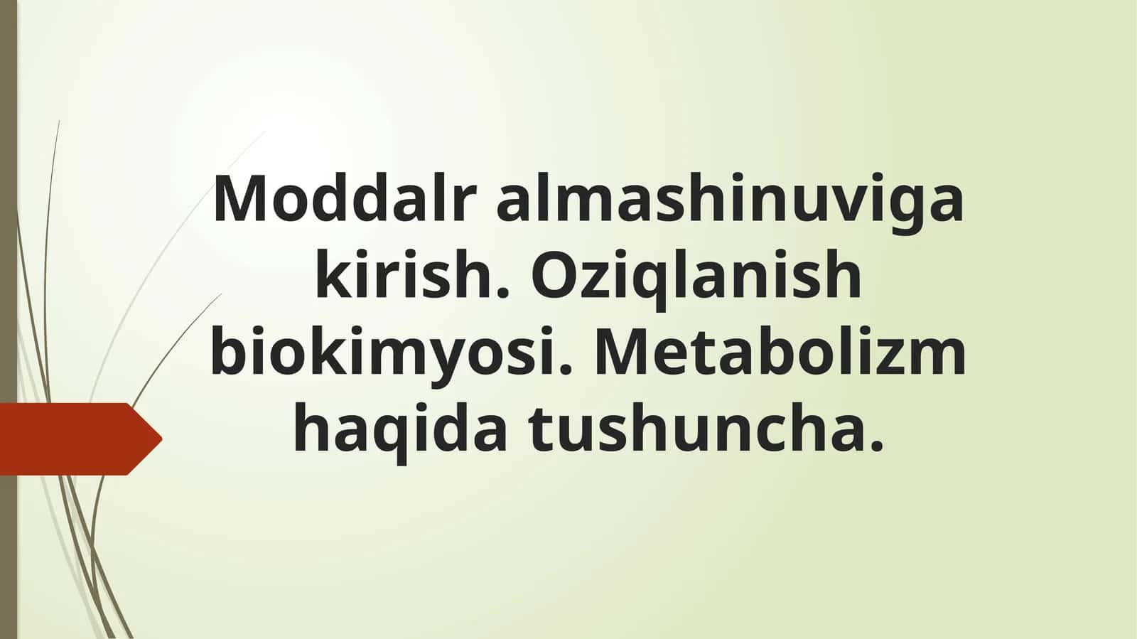 Ovqat haziqlikning asosiy printsiplari
