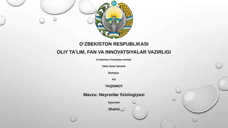Neyronlar fiziologiyasi
