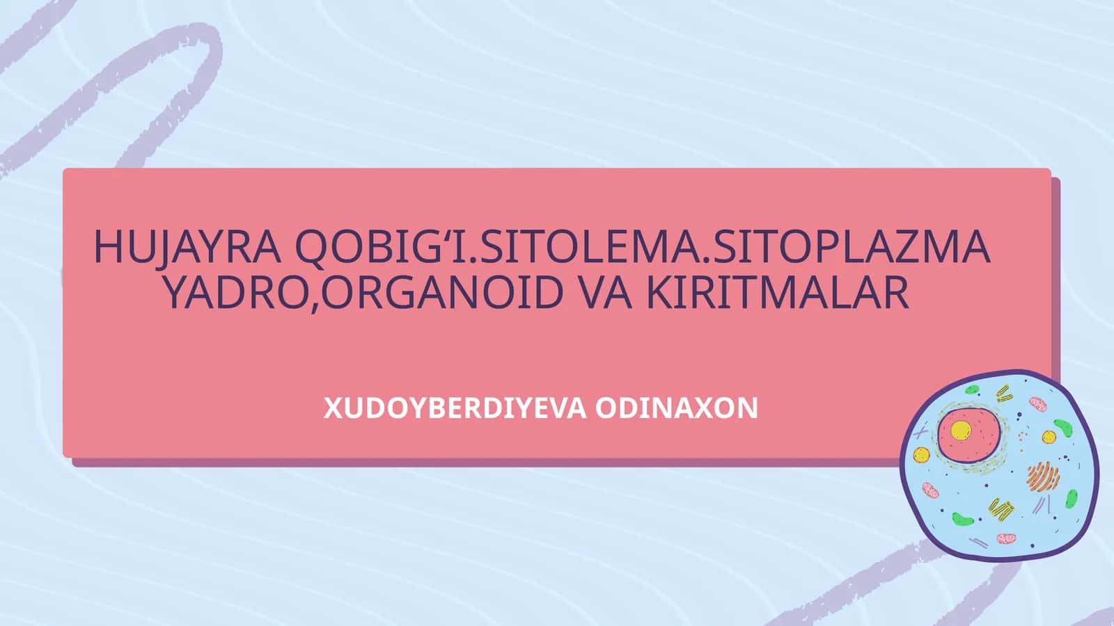 HUJAYRA QOBIG‘I.SITOLEMA.SITOPLAZMA YADRO,ORGANOID VA KIRITMALAR