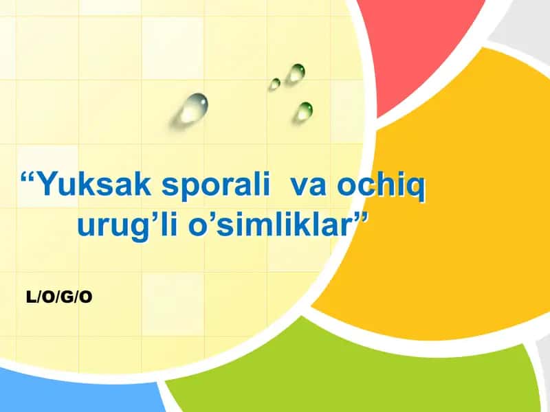 yuksak sporali o'simliklar