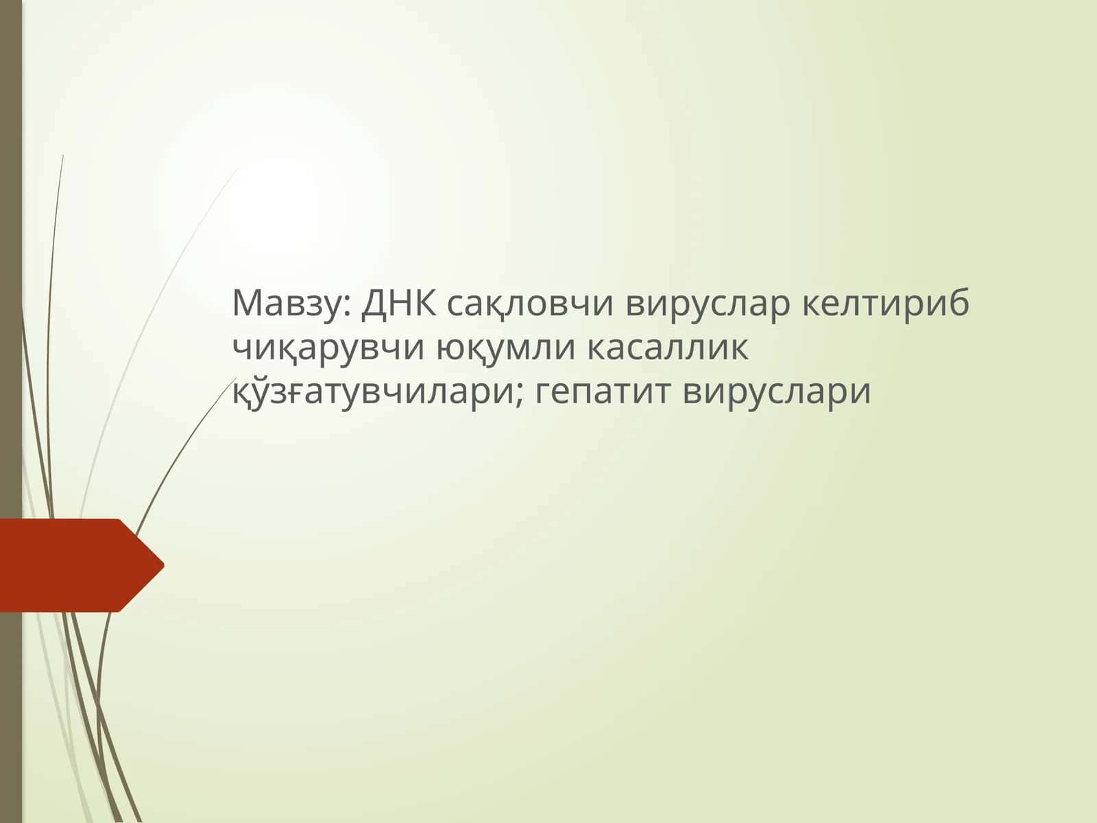ДНК сақловчи вируслар келтириб чиқарувчи юқумли касаллик қўзғатувчилари; гепатит вируслари