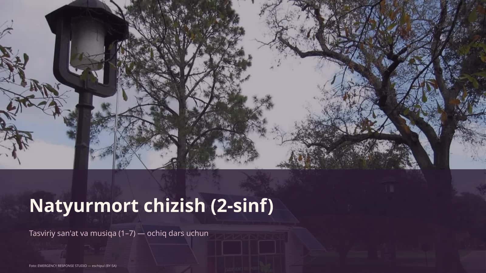 Natyurmort chizish (2-sinf)