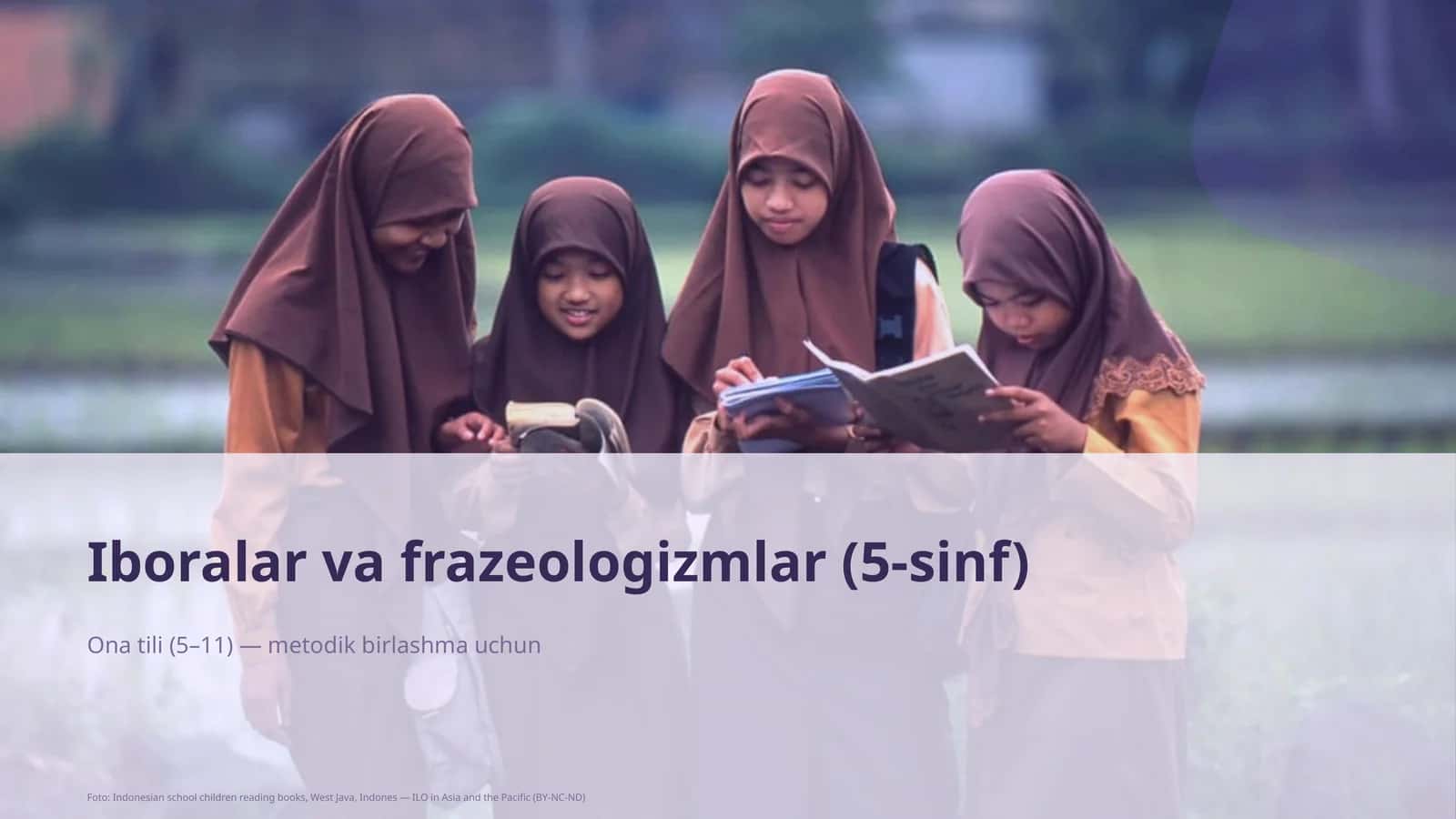 Iboralar va frazeologizmlar (5-sinf)