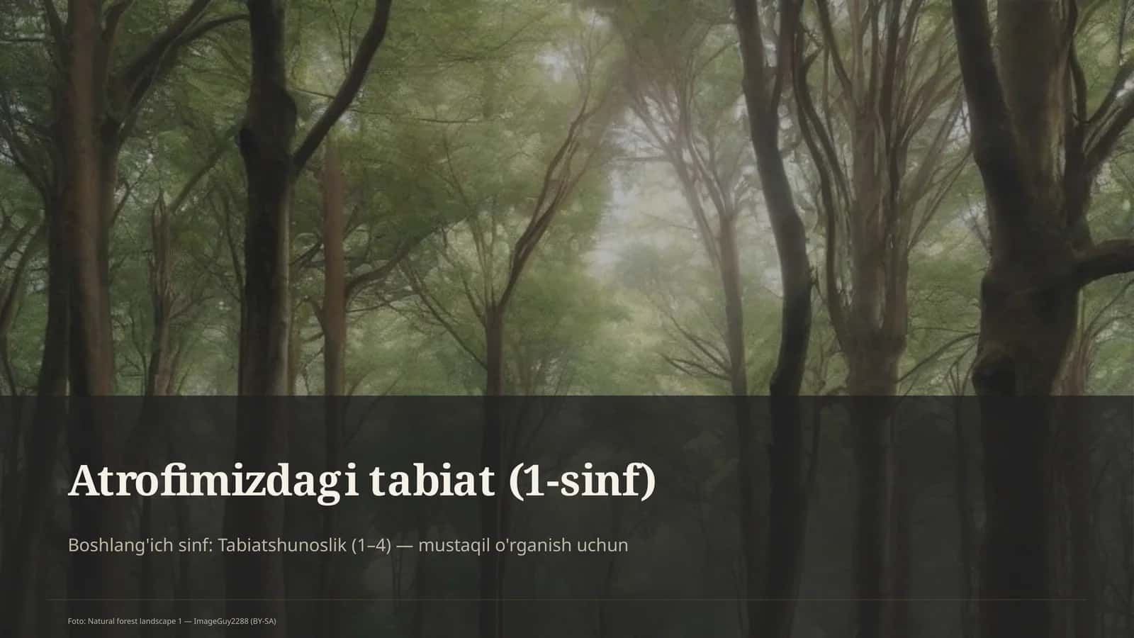 Atrofimizdagi tabiat (1-sinf)