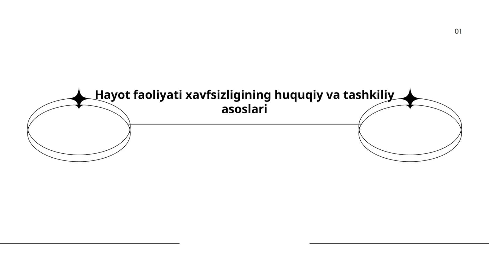 Hayot Faoliyati Xavfsizligining Huquqiy va Tashkiliy Asoslari