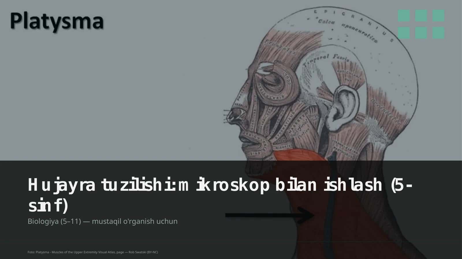 Hujayra tuzilishi: mikroskop bilan ishlash (5-sinf)