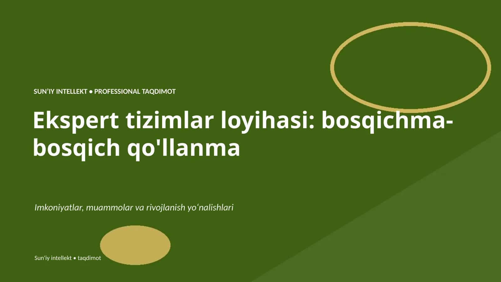 Ekspert tizimlar loyihasi: bosqichma-bosqich qo'llanma