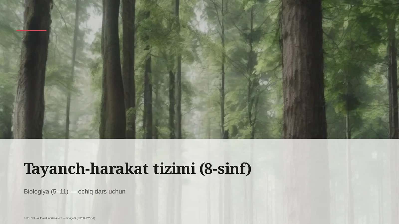 Tayanch-harakat tizimi (8-sinf)