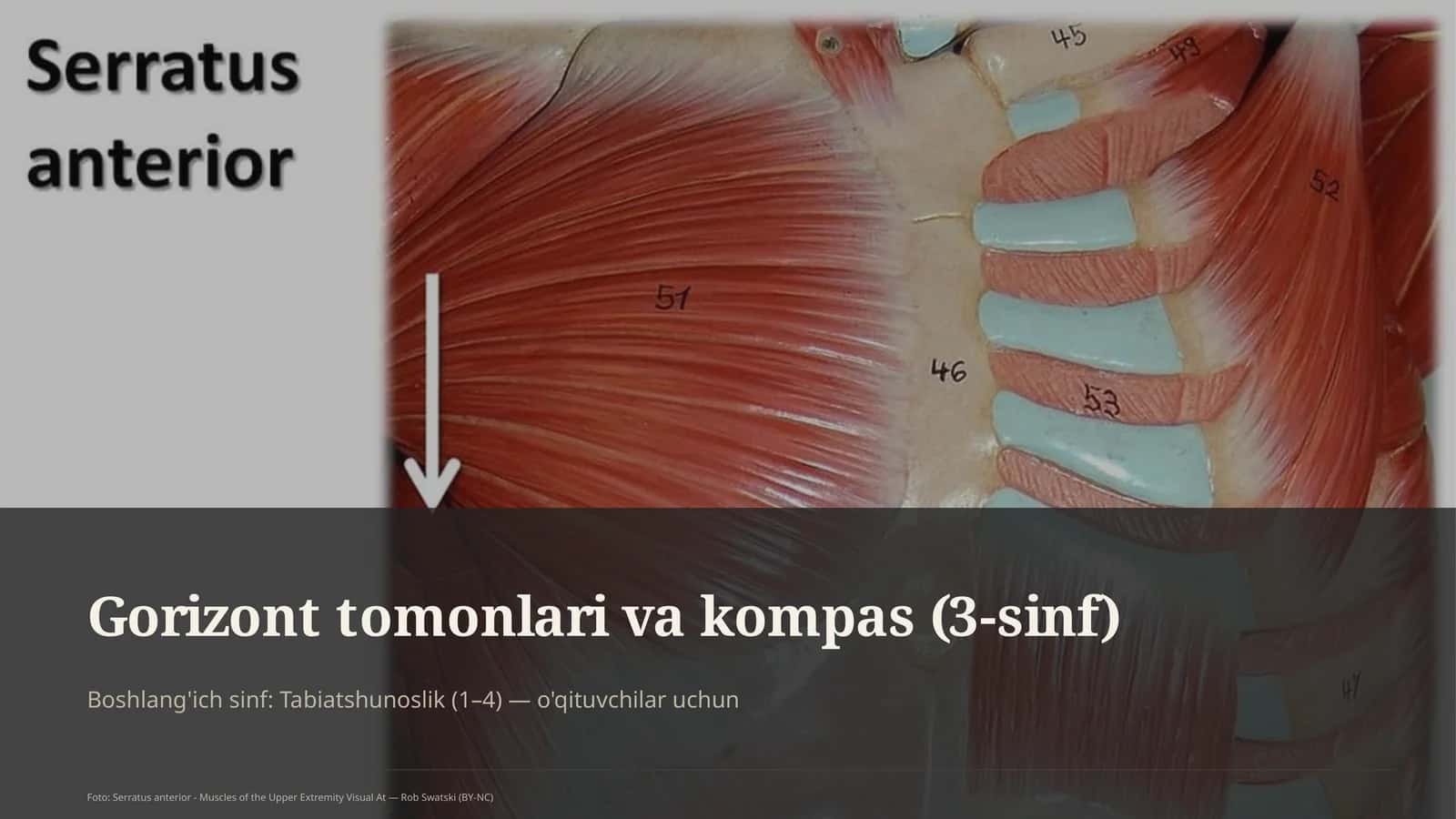 Gorizont tomonlari va kompas (3-sinf)