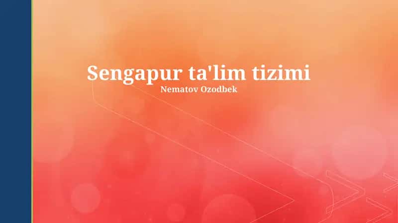 Singapur ta'lim tizimi