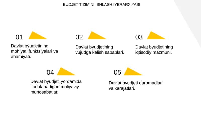 Budjet tizimining ishlash iyerarxiyasi