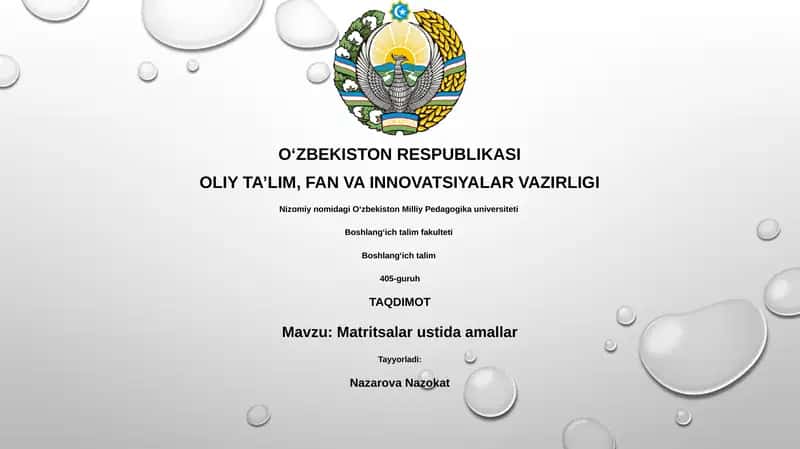 Matritsalar ustida amallar
