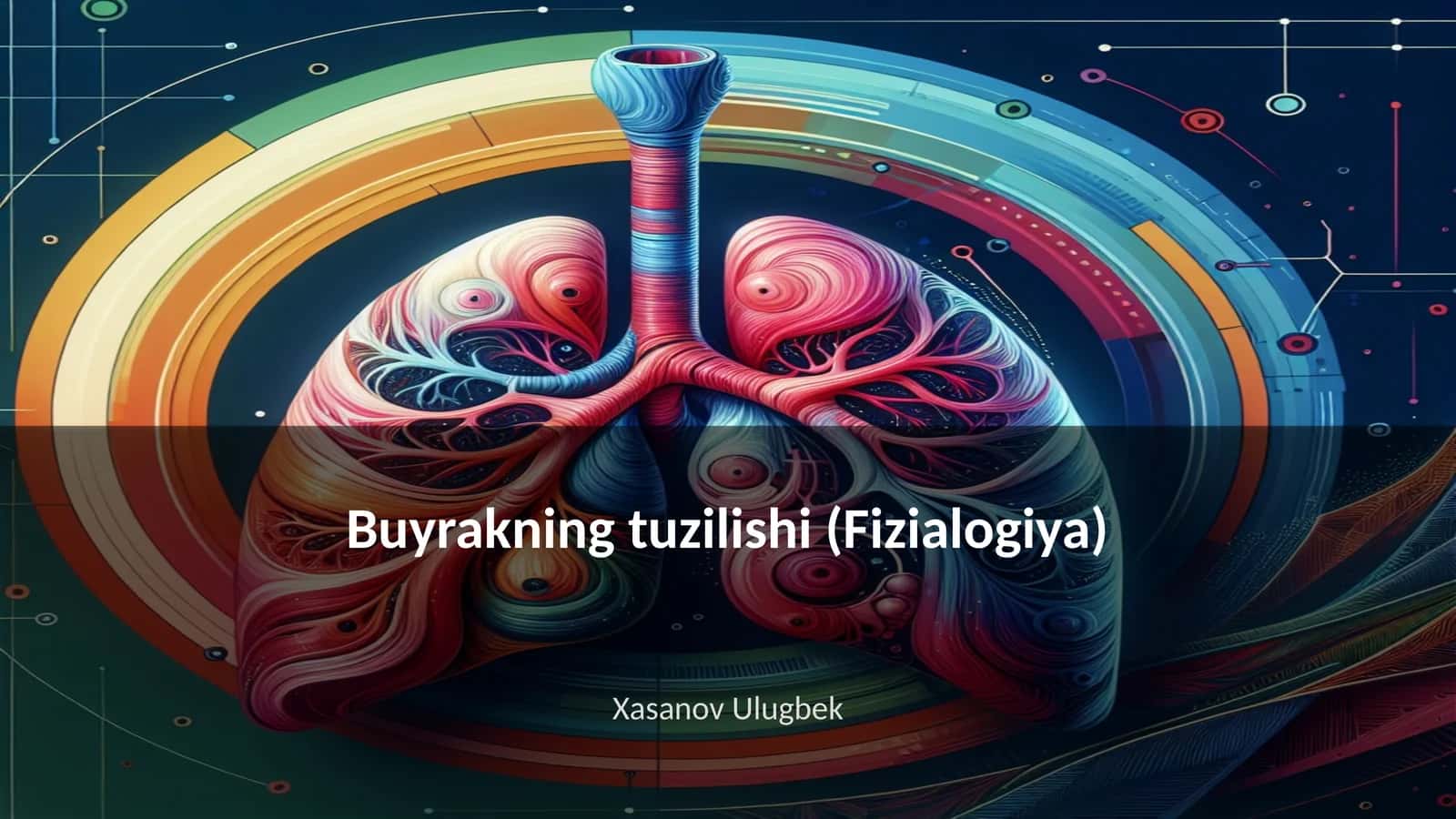 Buyrakning tuzilishi (Fizialogiya)