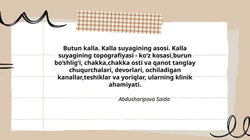 Butun kalla. Kalla suyagining asosi. Kalla suyagining topografiyasi