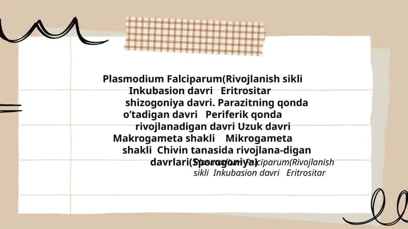 Plasmodium Falciparum