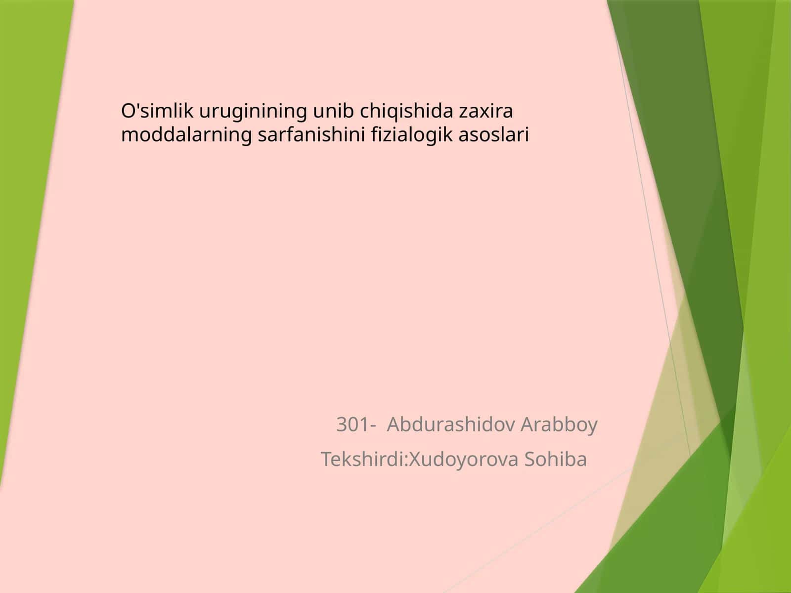 Abdurashidov Arabboy