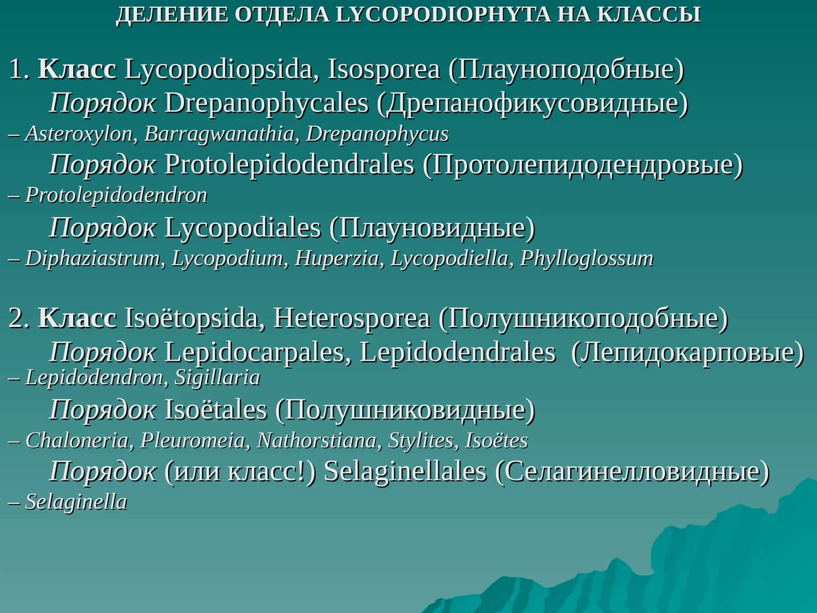 ДЕЛЕНИЕ ОТДЕЛА LYCOPODIOPHYTA НА КЛАССЫ
