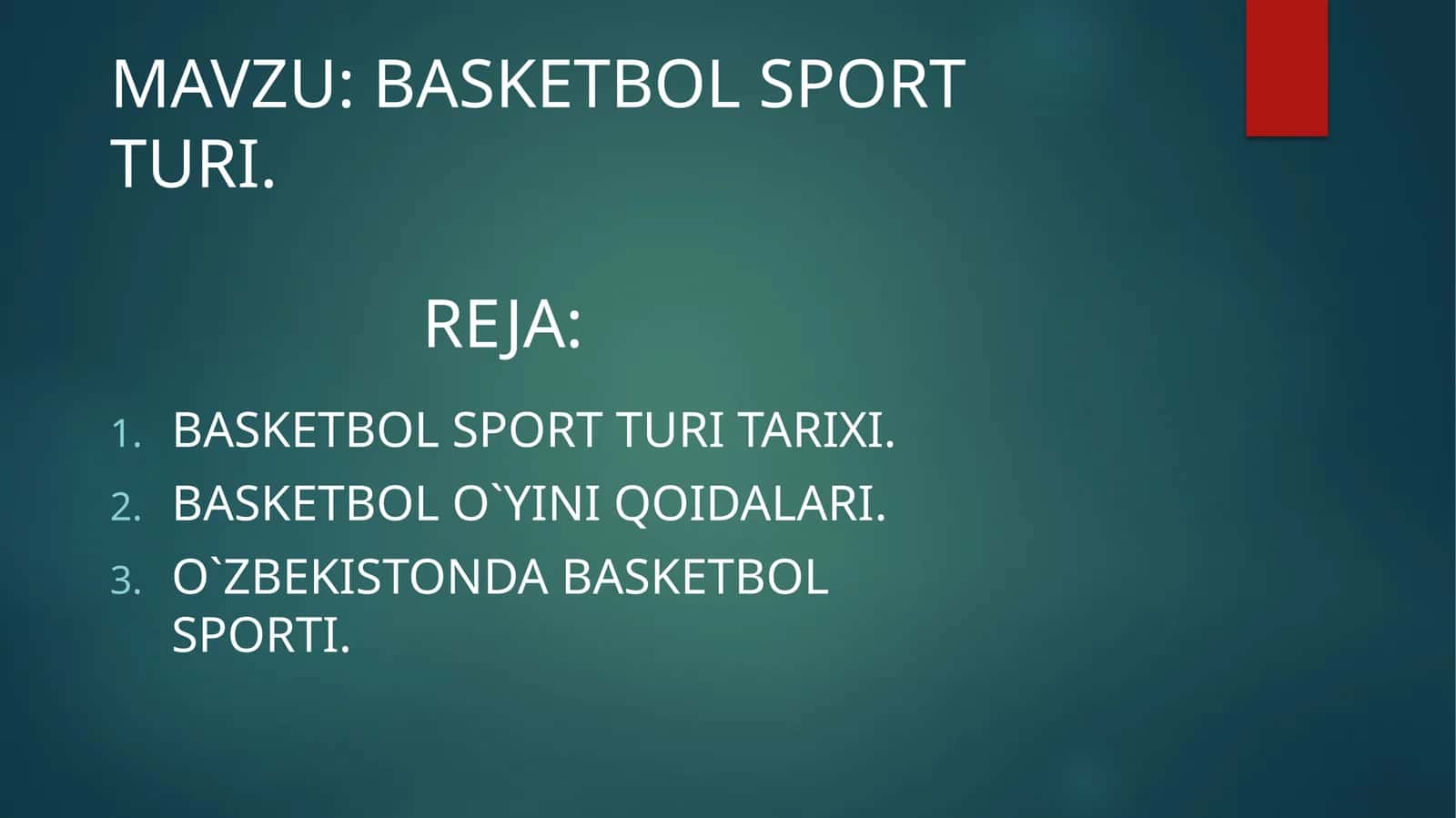 BASKETBOL SPORT TURI