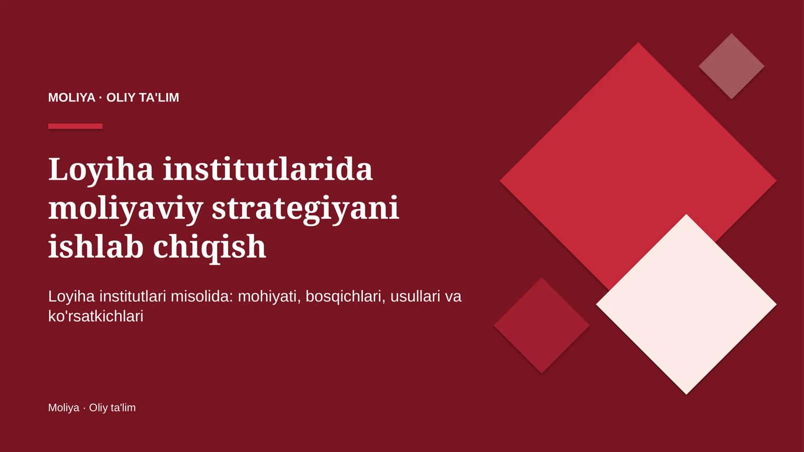 Loyiha institutlarida moliyaviy strategiyani ishlab chiqish