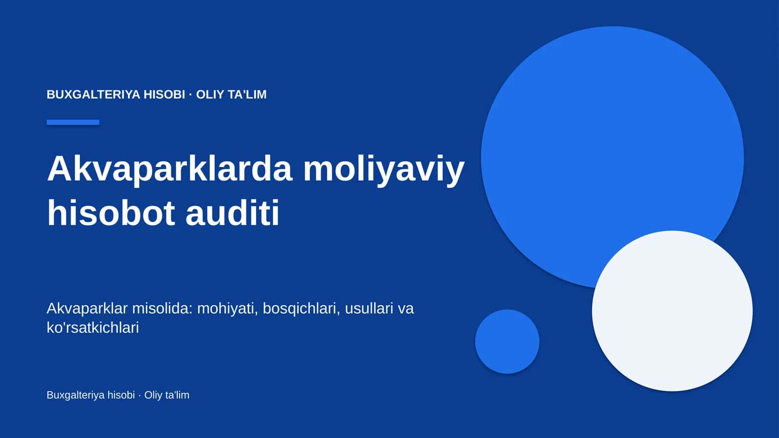 Akvaparklarda moliyaviy hisobot auditi
