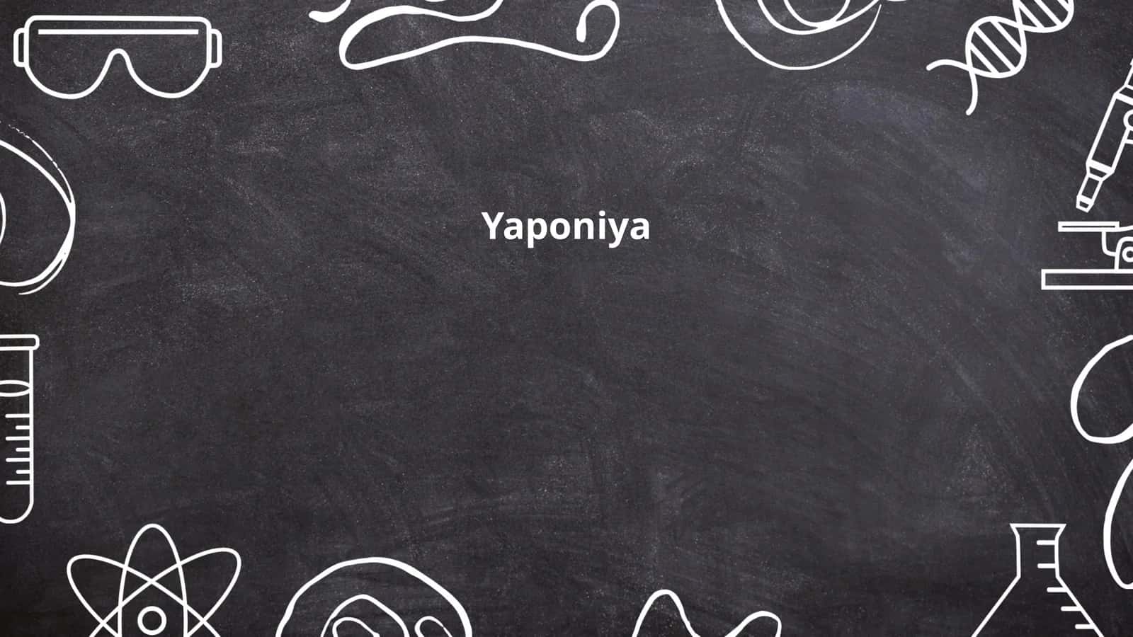 Yaponiya tarixi