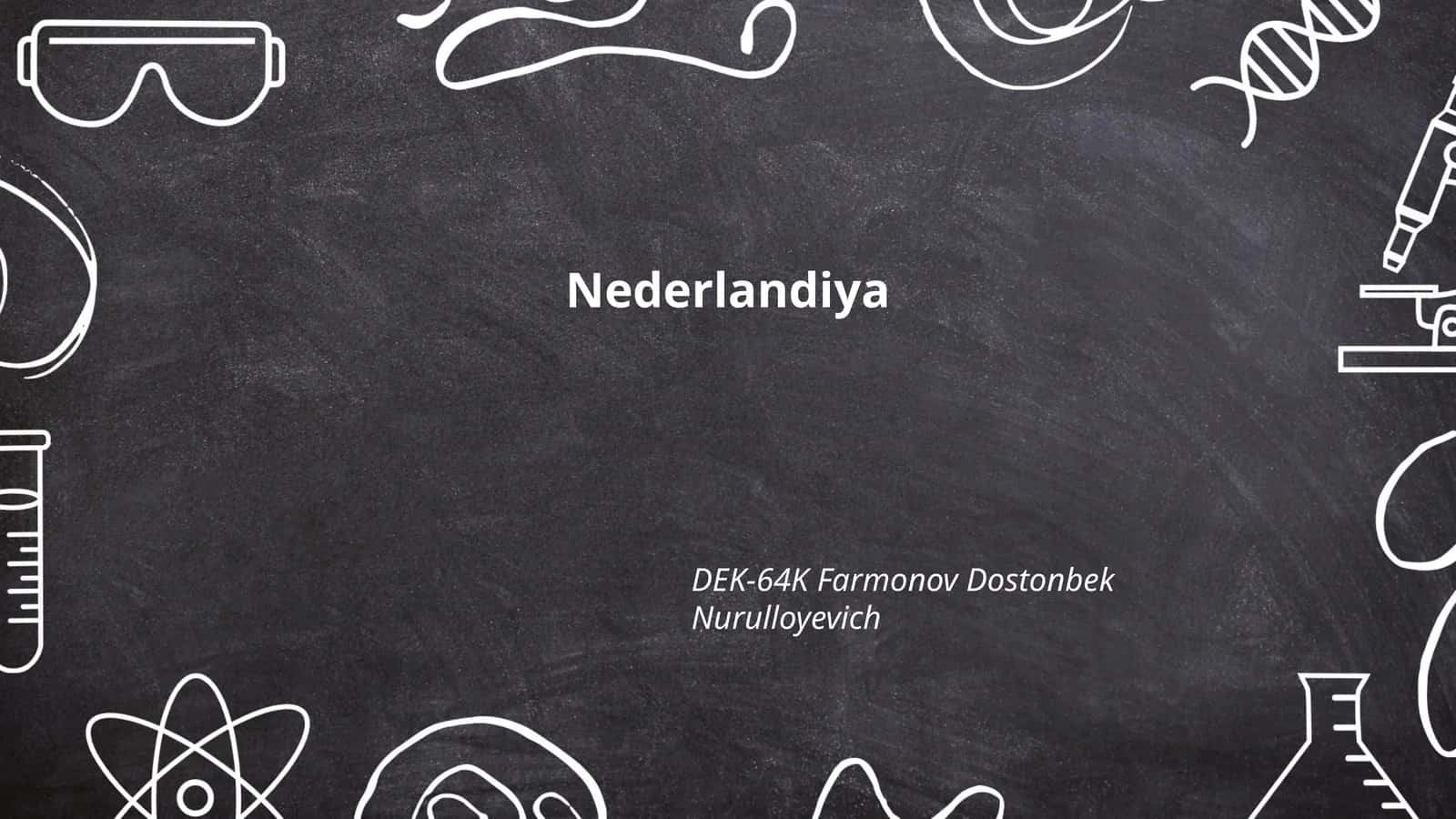 Nederlandiya Tarixi