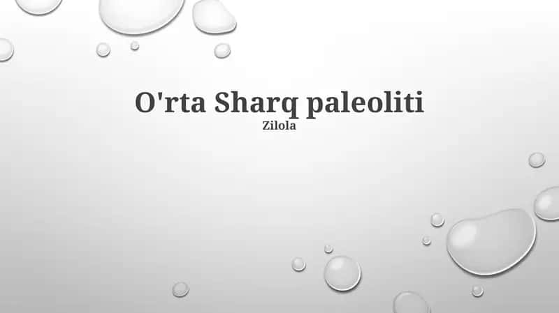 O'rta Sharq paleoliti
