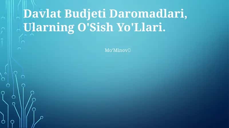 Davlat Budjeti Daromadlari