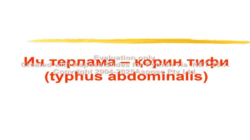 Қорин тифи (Typhus abdominalis)
