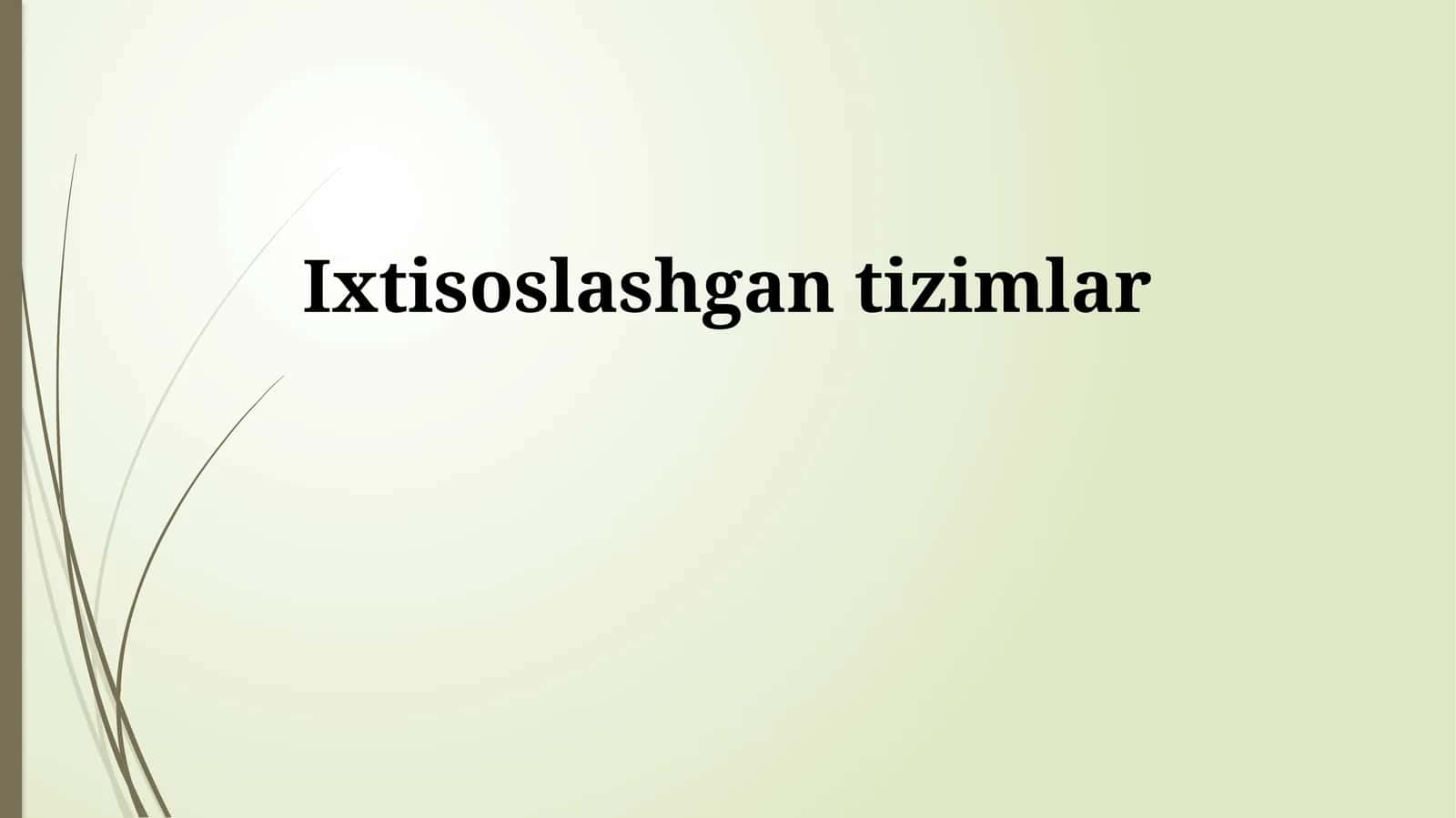 Maxsus Tizimlarni Amalga Oshirish