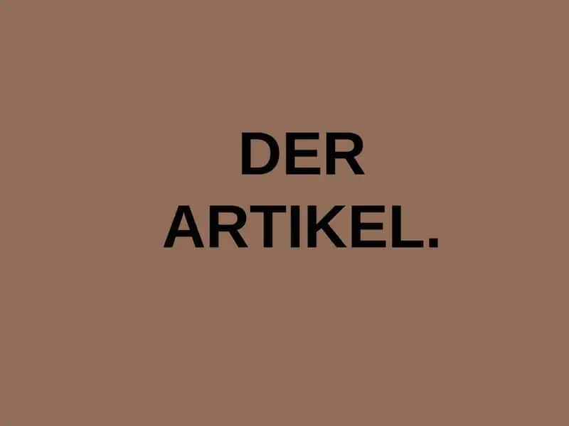 DER ARTIKEL