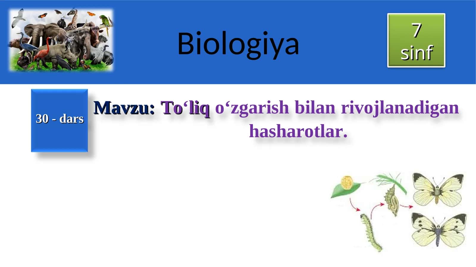 To‘liqo‘zgarish bilan rivojlanadigan hasharotlar