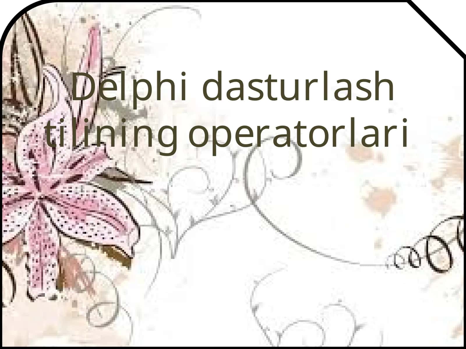 Delphi dasturlash tilining operatorlari