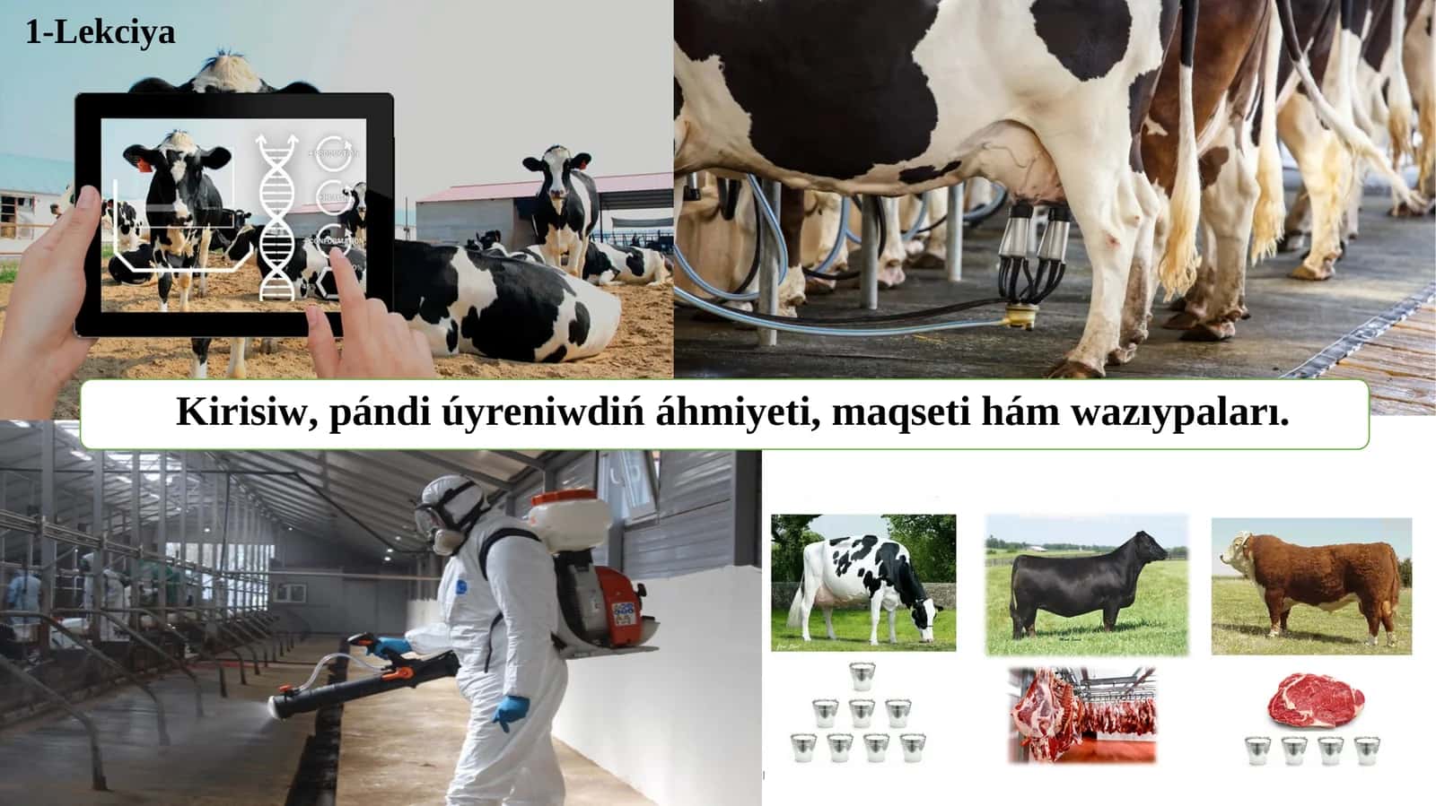 Zoogigiyena va chorvachilik binolarini loyihalash
