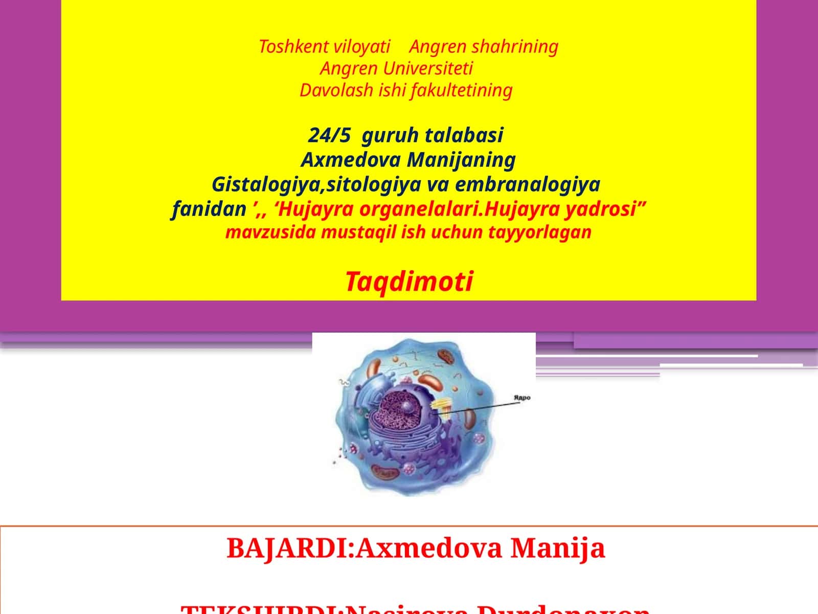 Hujayra Organellalari