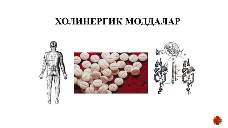 ХОЛИНЕРГИК МОДДАЛАР