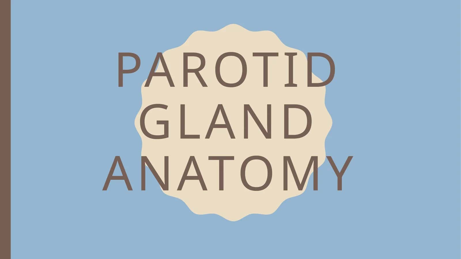 Parotid gland anatomy