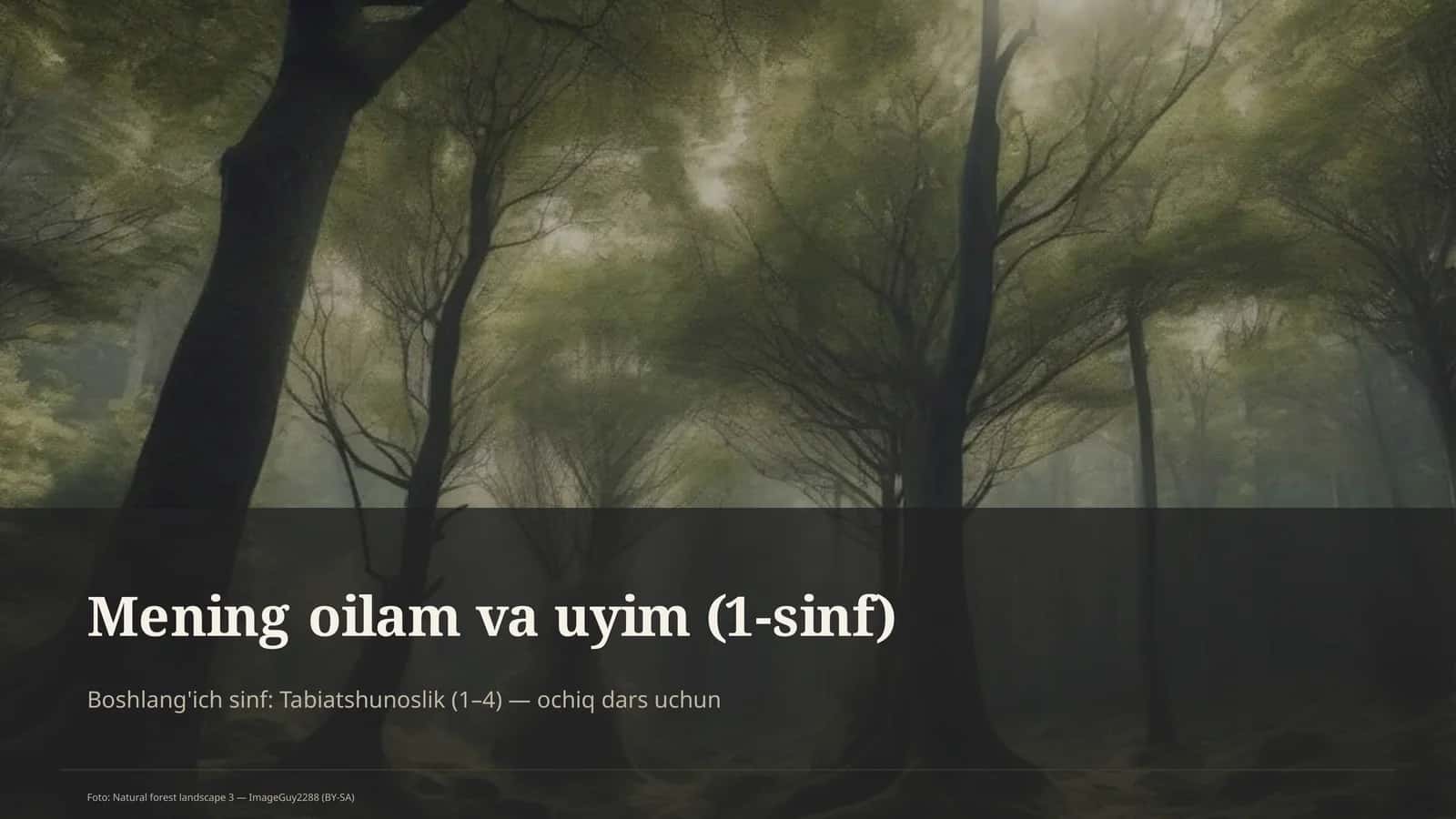 Mening oilam va uyim (1-sinf)