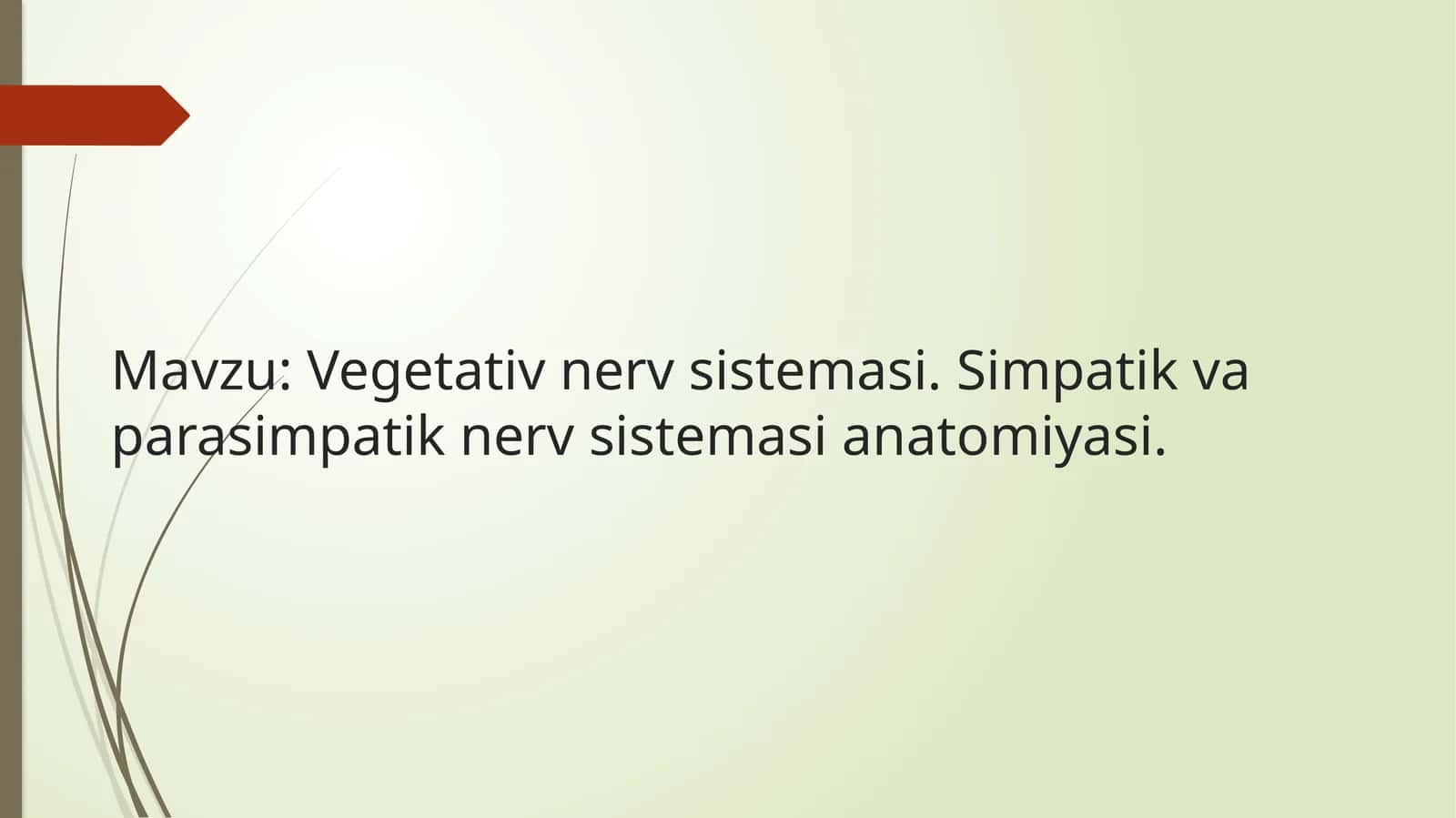 Vegetativ nerv sistemasini anatomiyasi