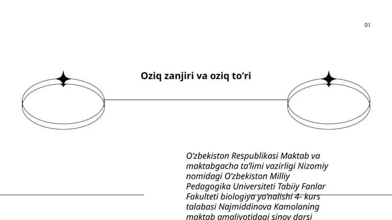 Oziq zanjiri va oziq toʻri