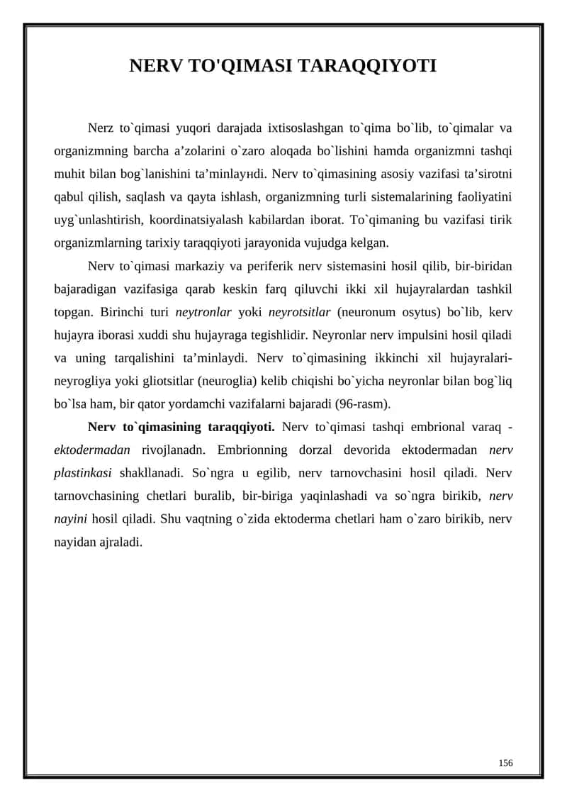 Nerv to`qimasi taraqqiyoti